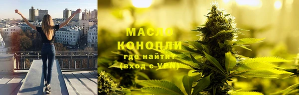 тгк Новодвинск