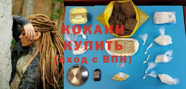 тгк Новозыбков