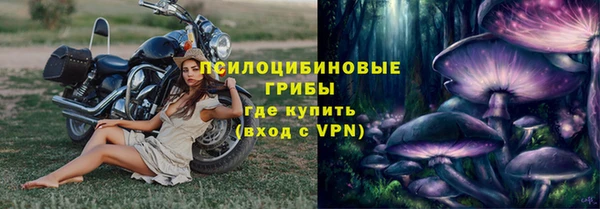 тгк Новозыбков