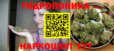 амф Ливны