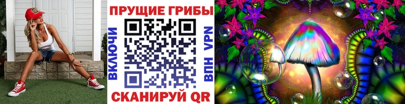 что такое   Тавда  Галлюциногенные грибы Psilocybine cubensis 